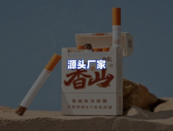 专业团队